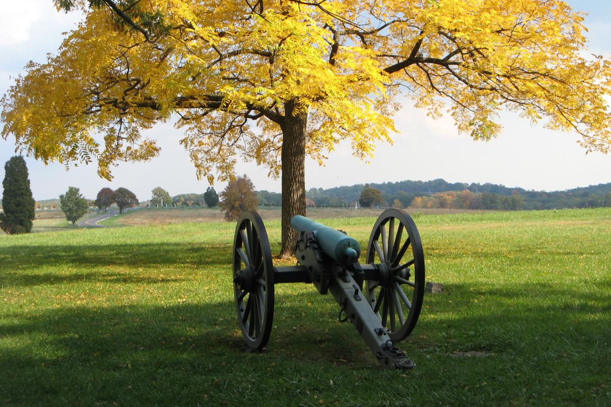 Cannon in the Fall